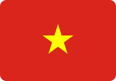 vn